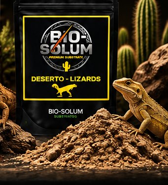 Deserto Lizards