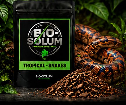 Tropical Snakes