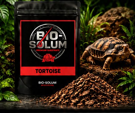 Pacote Tortoise com jabuti